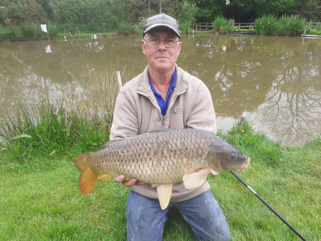 carp 4